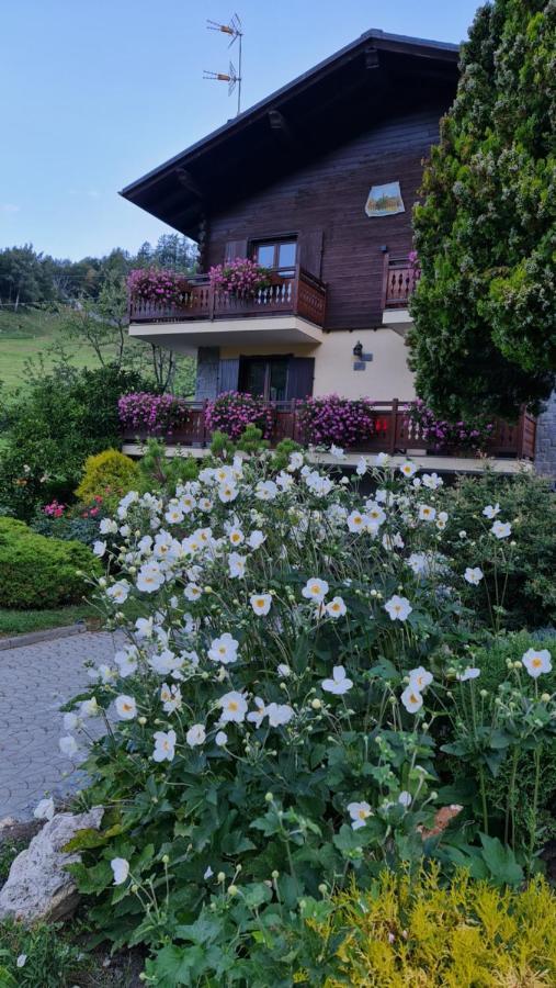 Guest house Casa Margherita D'hotes &